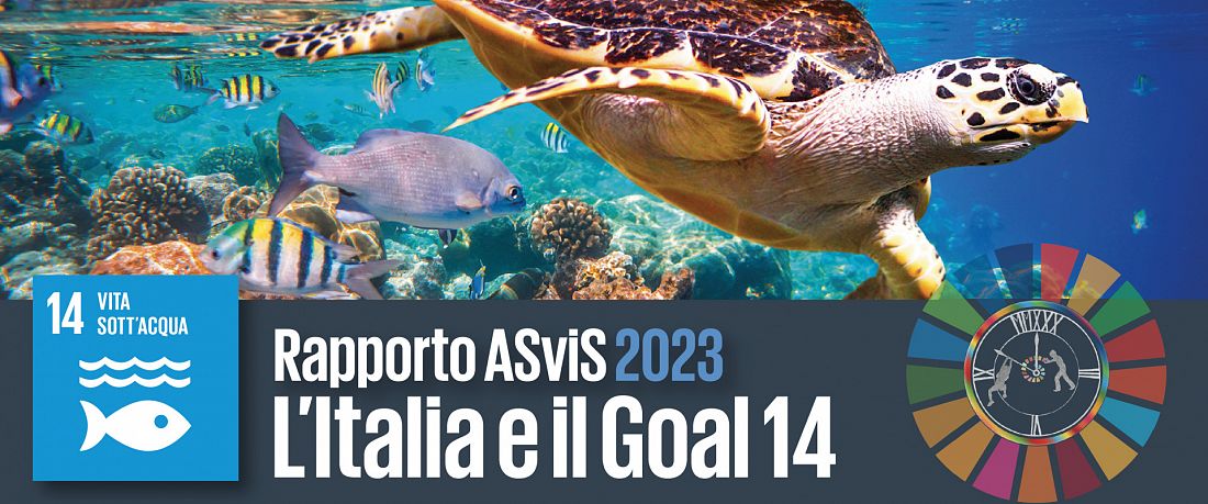 L’Italia e il Goal 14: l’80,4% degli stock ittici è sovrasfruttato